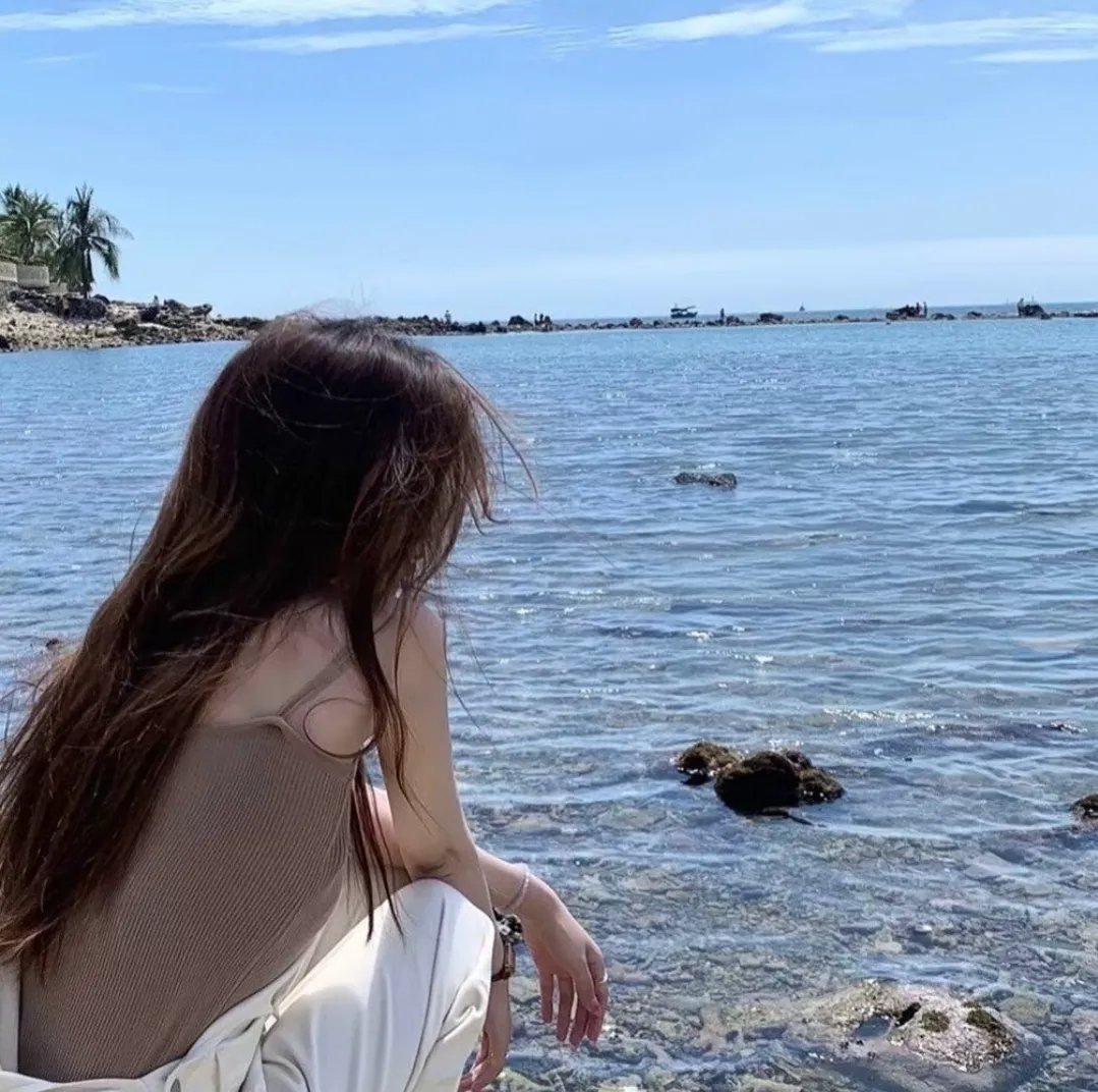 瞒天机密 海报